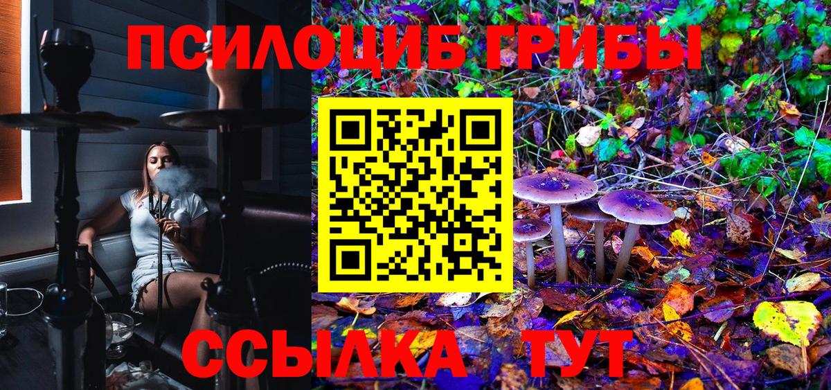 Галлюциногенные грибы Psilocybe Клинцы